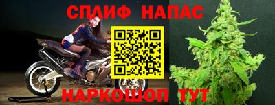 прущие грибы Уссурийск